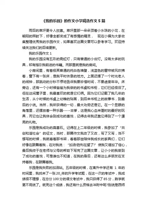 《我的乐园》的作文小学精选作文5篇