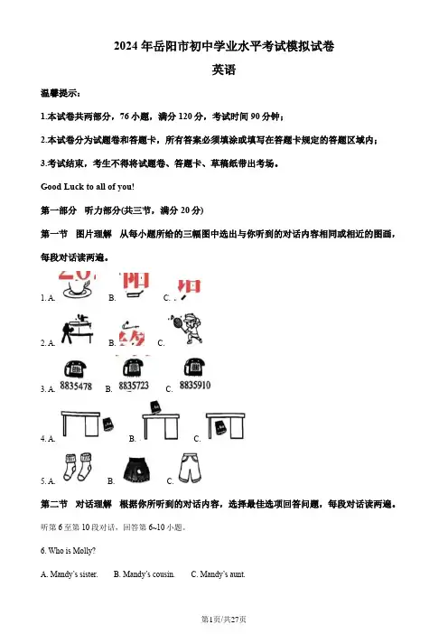 解析：2024年初中升学考试模拟测试卷湖南省岳阳市中考英语真题(解析版)