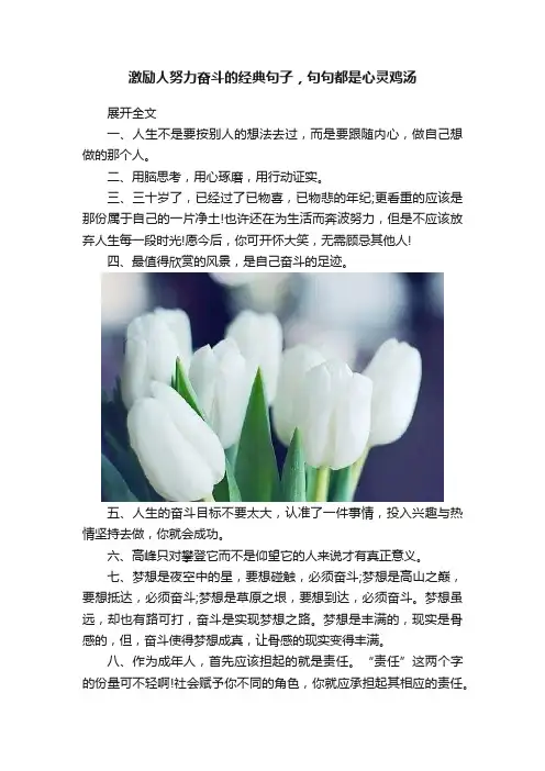 激励人努力奋斗的经典句子，句句都是心灵鸡汤