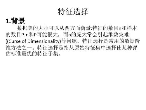 特征选择