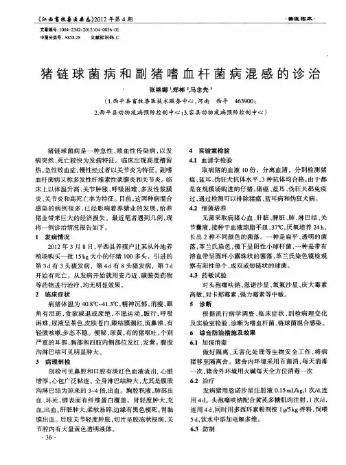 猪链球菌病和副猪嗜血杆菌病混感的诊治