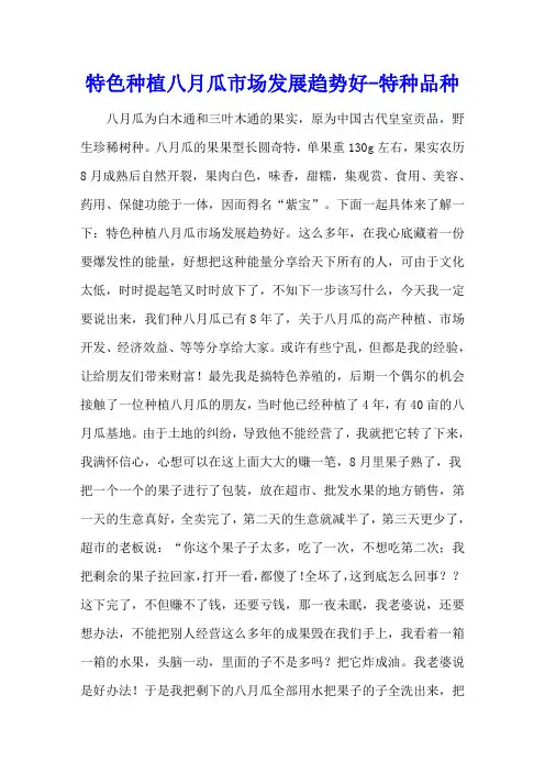 特色种植八月瓜 市场发展趋势好 - 特种品种