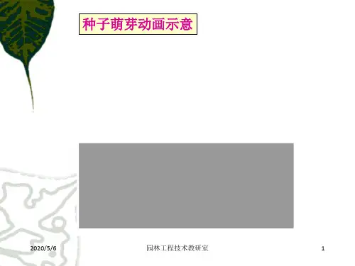 [农学]42园林植物播种繁殖共144页