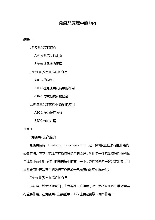 免疫共沉淀中的igg