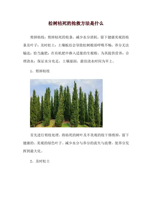 松树枯死的抢救方法是什么