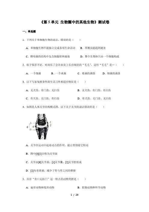 人教版生物八年级上册《第5单元 生物圈中的其他生物》测试卷(解析版)