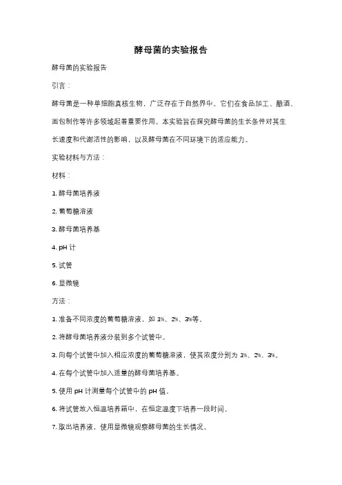 酵母菌的实验报告