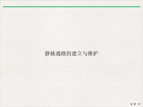 静脉通路的建立与维护完整版PPT