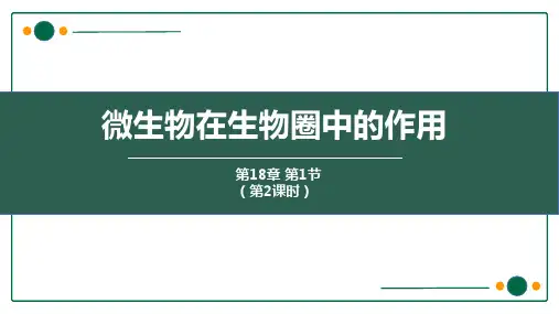 《微生物在生物圈中的作用》PPT优秀课件