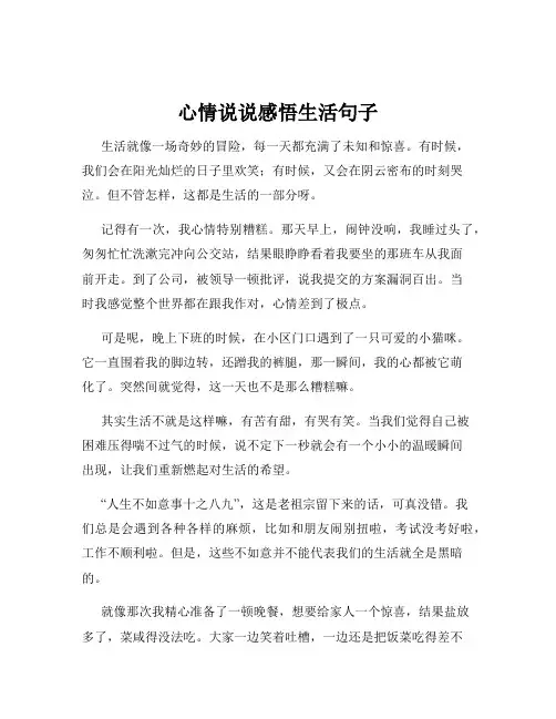 心情说说感悟生活句子
