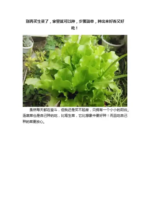 别再买生菜了，家里就可以种，步骤简单，种出来好看又好吃！