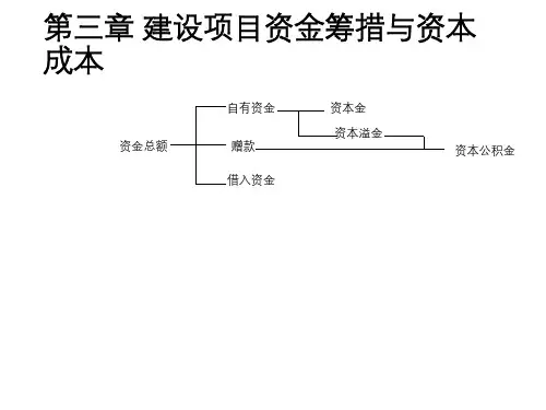 建设项目资金筹措与资本成本_课件