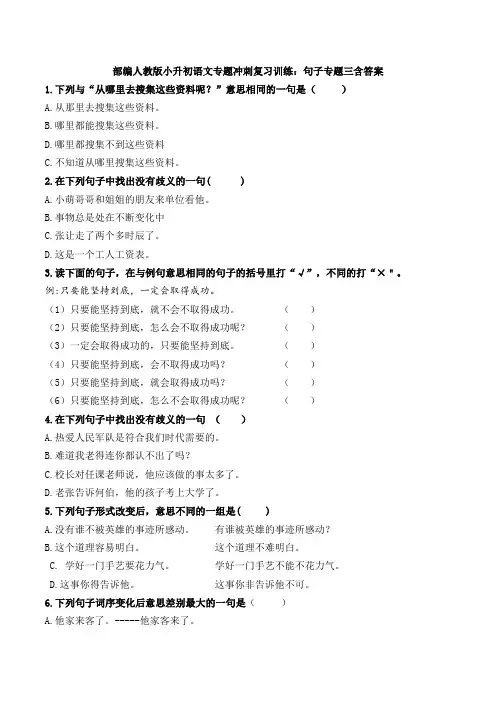 统编-部编人教版小升初语文专题冲刺复习训练：句子专题三含答案