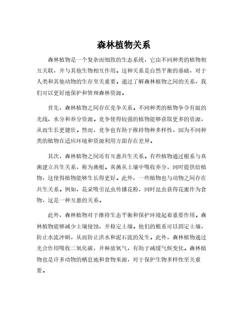 森林植物关系