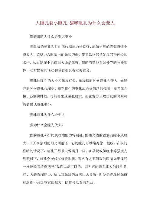 大瞳孔套小瞳孔-猫咪瞳孔为什么会变大