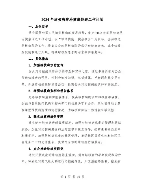 2024年结核病防治健康促进工作计划(4篇)