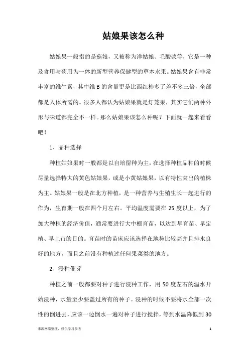 姑娘果该怎么种