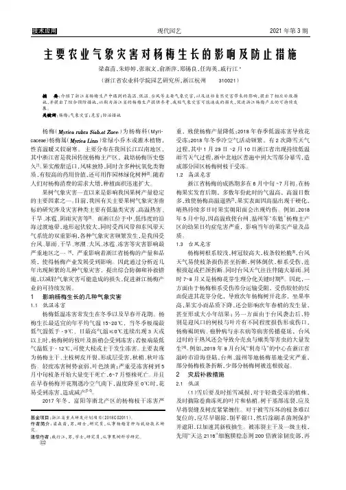 主要农业气象灾害对杨梅生长的影响及防止措施