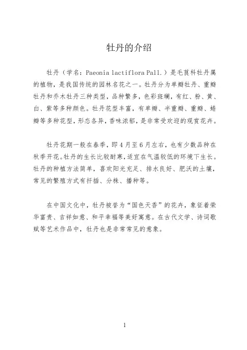 牡丹的介绍
