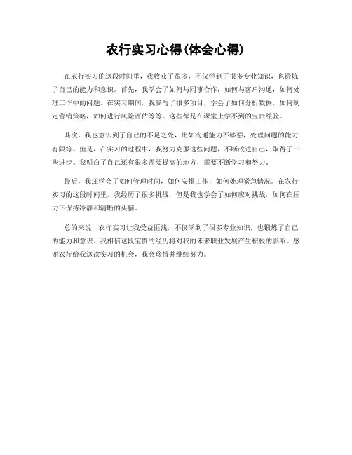 农行实习心得(体会心得)