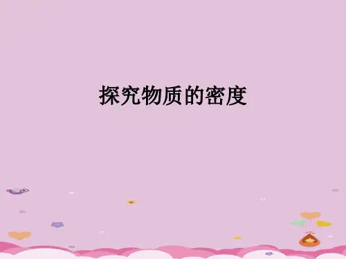 沪粤版初中物理八上 5.2  探究物质的密度  课件 _8优质课件