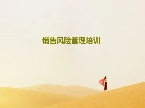 销售风险管理培训29页PPT