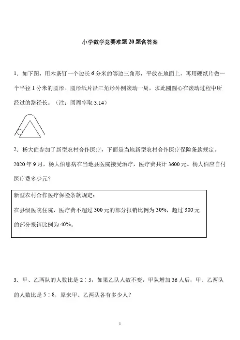名校小升初数学经典难题应用题20题 (7)