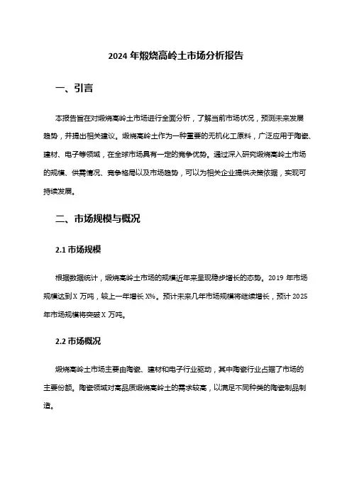 2024年煅烧高岭土市场分析报告