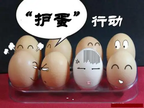 《“护蛋”行动》PPT课件