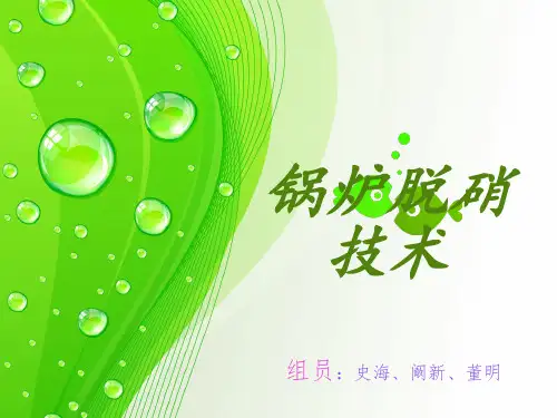 锅炉脱硝技术详解