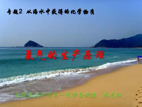《氯气的生产原理》 (PPT)