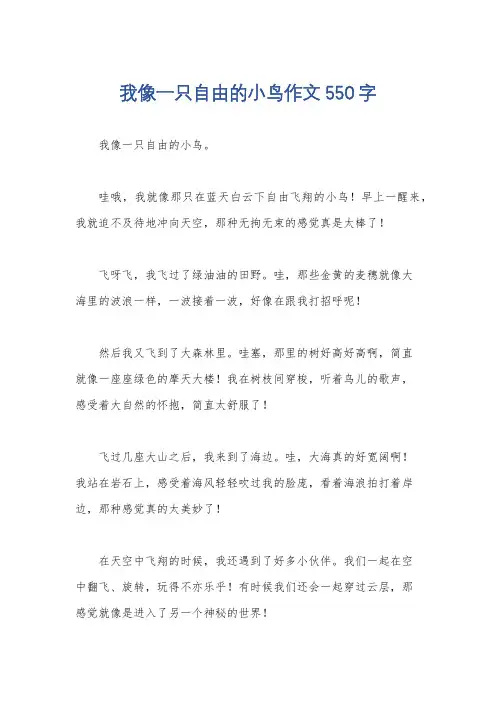 我像一只自由的小鸟作文550字