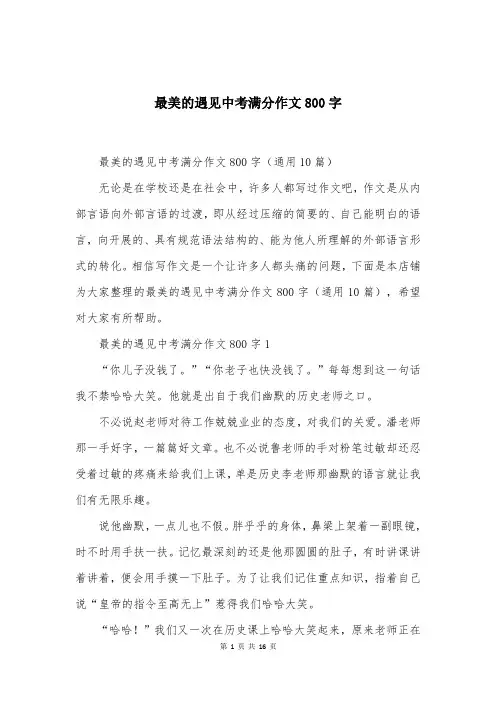 最美的遇见中考满分作文800字