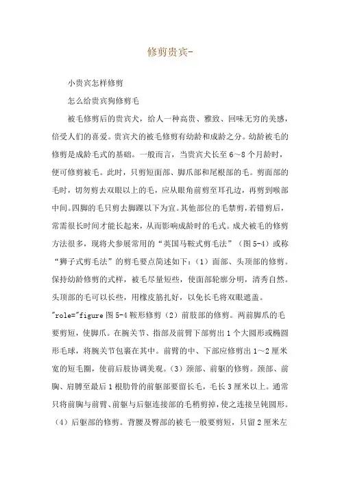 修剪贵宾--小贵宾怎样修剪