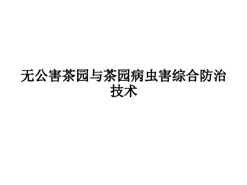4无公害茶园与茶园病虫害综合防治技术.ppt