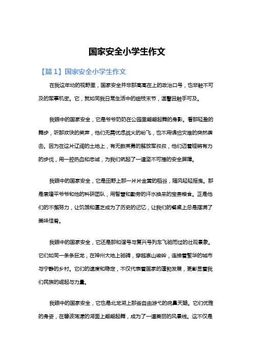 国家安全小学生作文