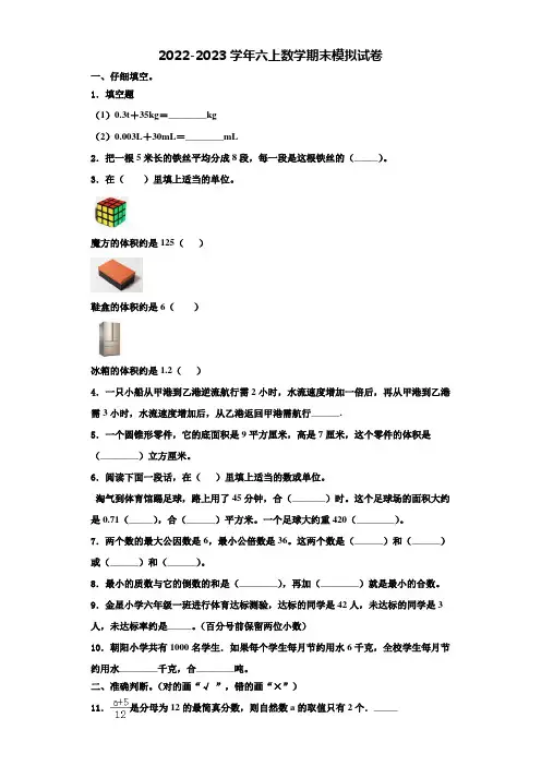 2022年湖南省娄底市娄星区六年级数学第一学期期末调研试题含解析