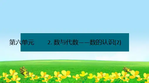 新版六年级数学下册优秀课课件-第六单元2.数与代数——数的认识(2)人教版14张)