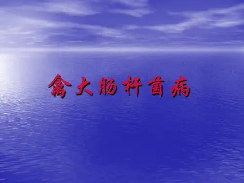 禽大肠杆菌病ppt课件