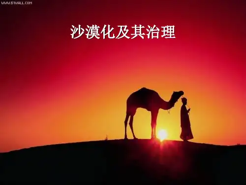 沙漠化及治理