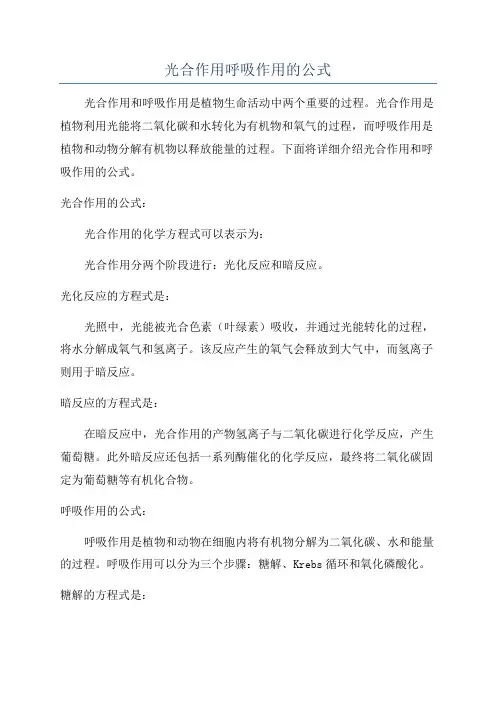 光合作用呼吸作用的公式