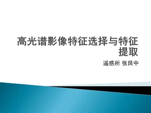 高光谱影像特征选择与提取