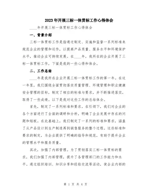 2023年开展三标一体贯标工作心得体会