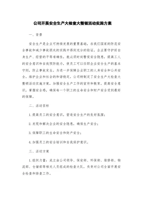 公司开展安全生产大检查大整顿活动实施方案