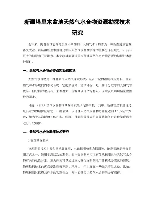 新疆塔里木盆地天然气水合物资源勘探技术研究