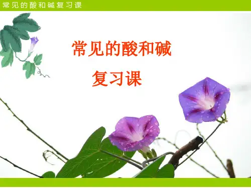 鲁教版(五四制)九年级化学 第二单元 常见的酸和碱整理与复习 课件   (共39张PPT)