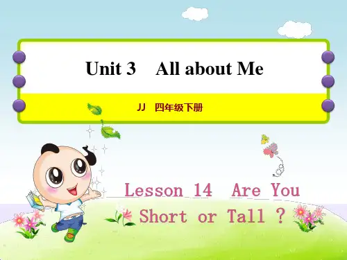 冀教版英语四年级下册 Unit 3  Lesson 14 Are You Short or Tall作业课件