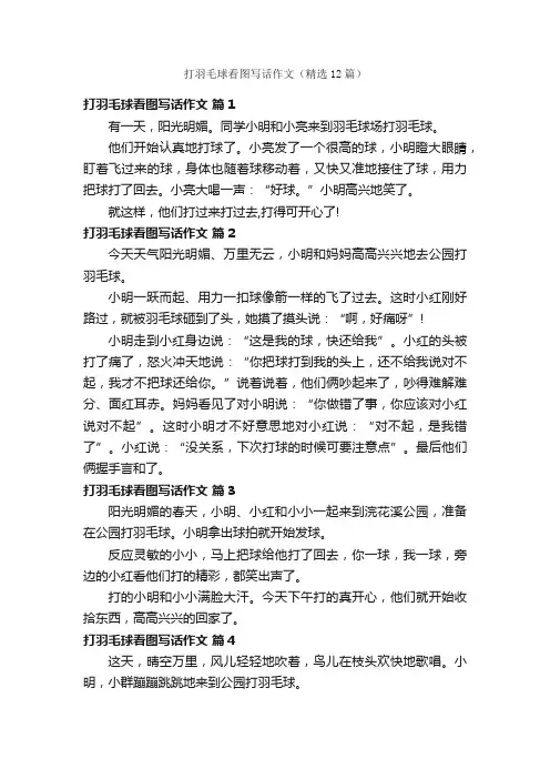 打羽毛球看图写话作文（精选12篇）