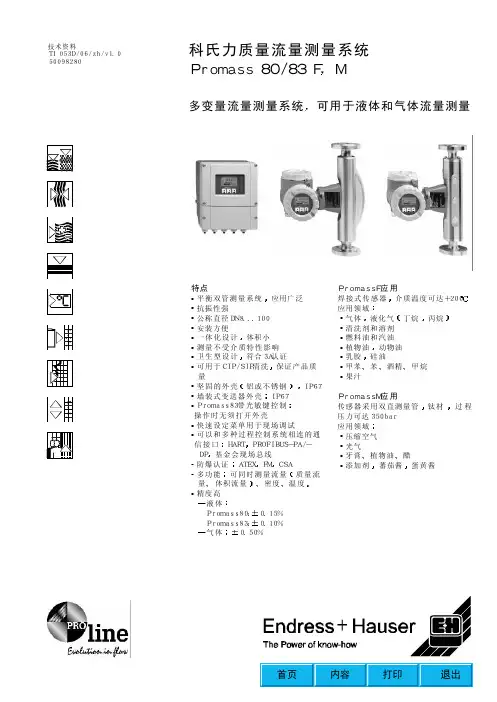 E+H质量流量计