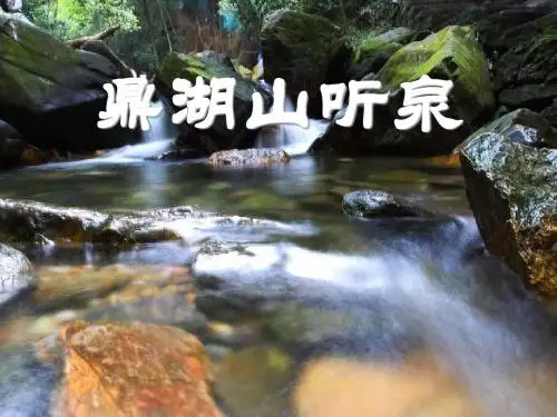《鼎湖山听泉》PPT课件(上课用)